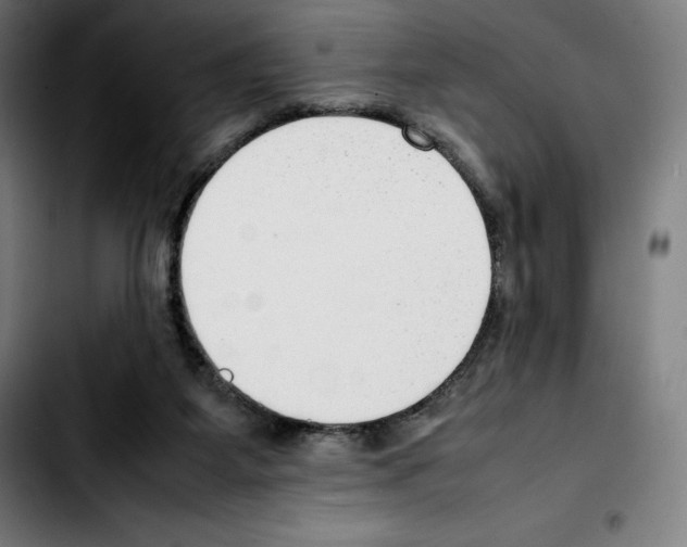 X0000103410115200810241217