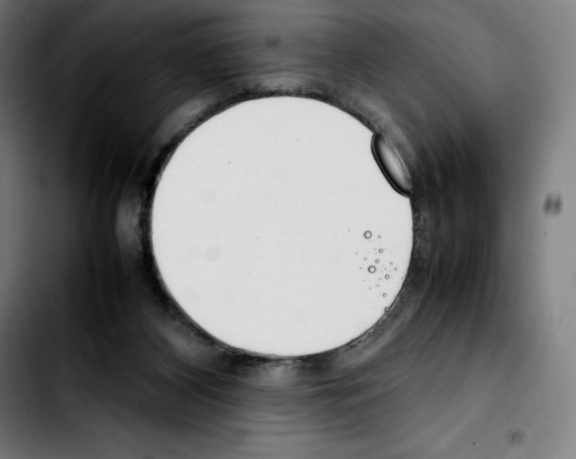 X0000103410116200810241217