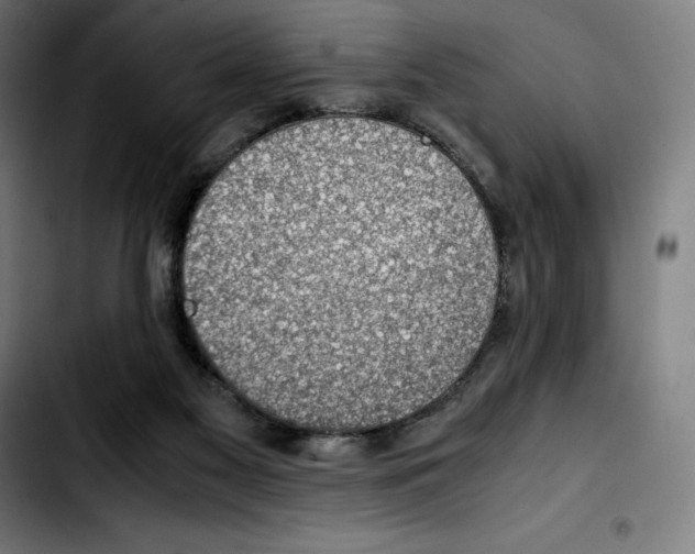 X0000103410117200810241217