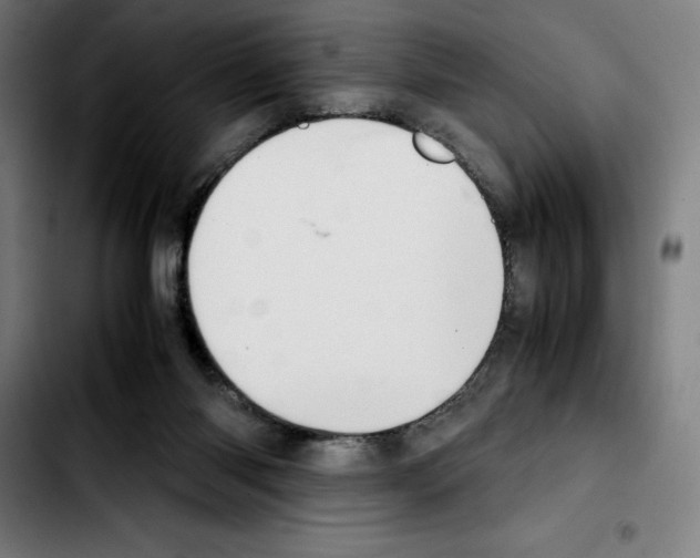 X0000103410118200810241217