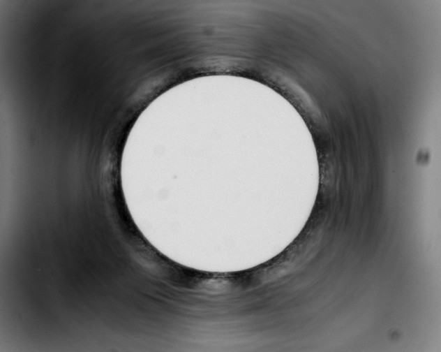 X0000103410119200810241217