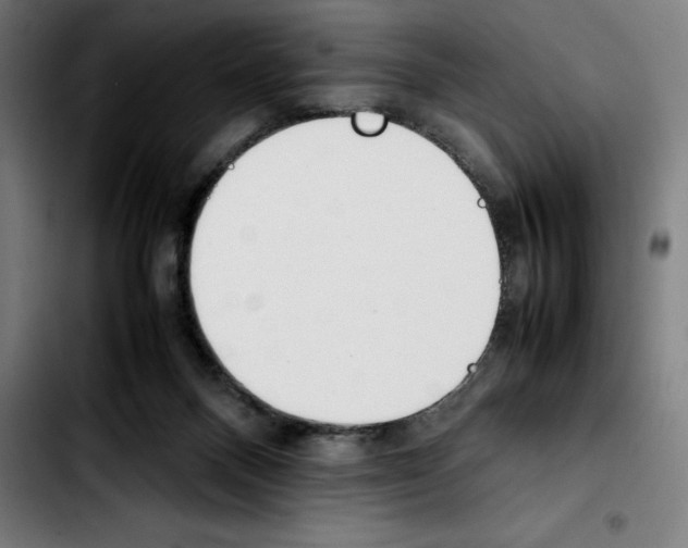 X0000103410120200810241217