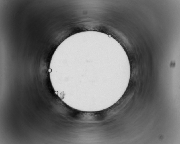 X0000103410121200810241217