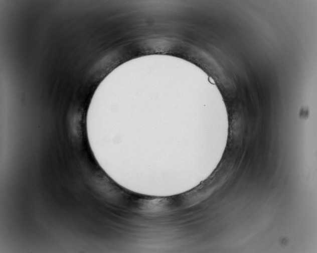 X0000103410122200810241217