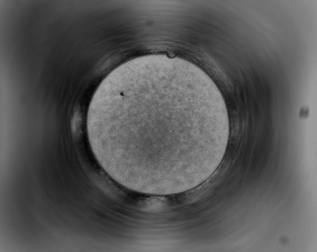 X0000103410124200810241217