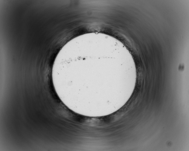 X0000103410125200810241217