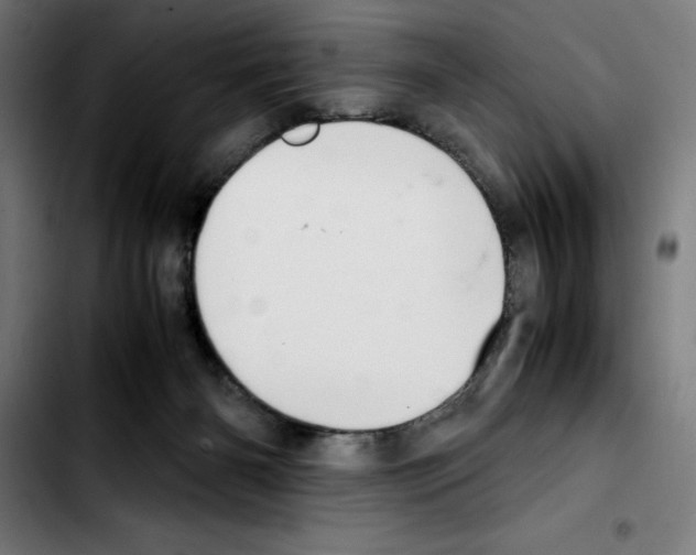 X0000103410126200810241217