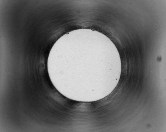 X0000103410128200810241217