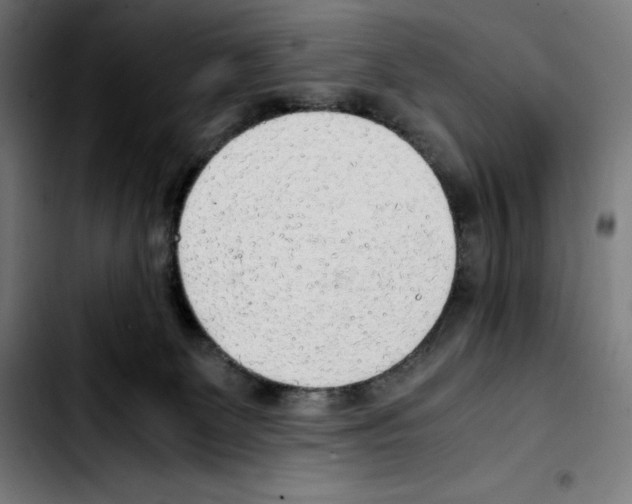 X0000103410131200810241217