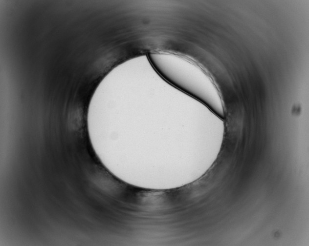 X0000103410132200810241217