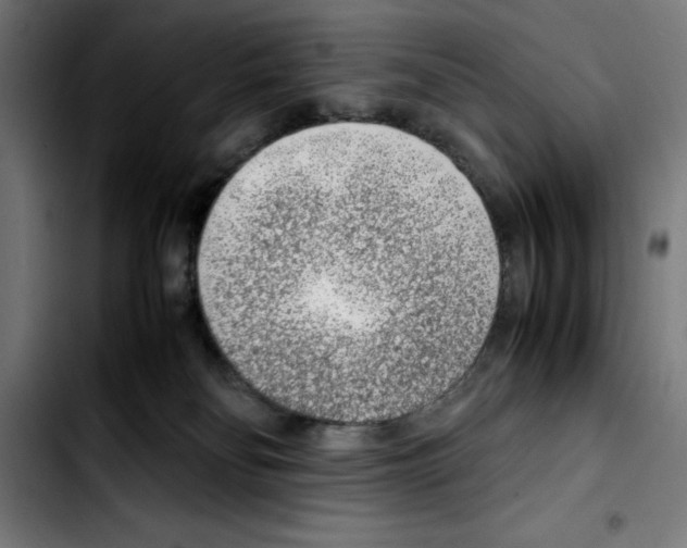 X0000103410134200810241217