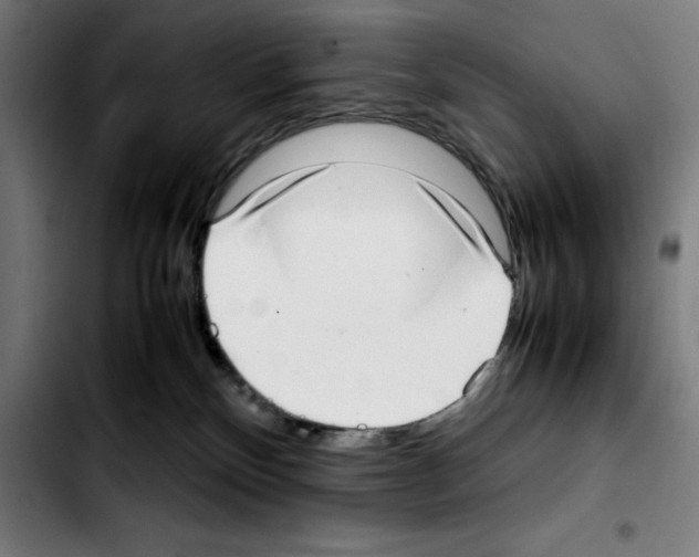 X0000103410136200810241217