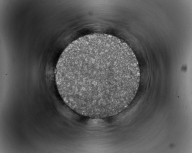 X0000103410137200810241217