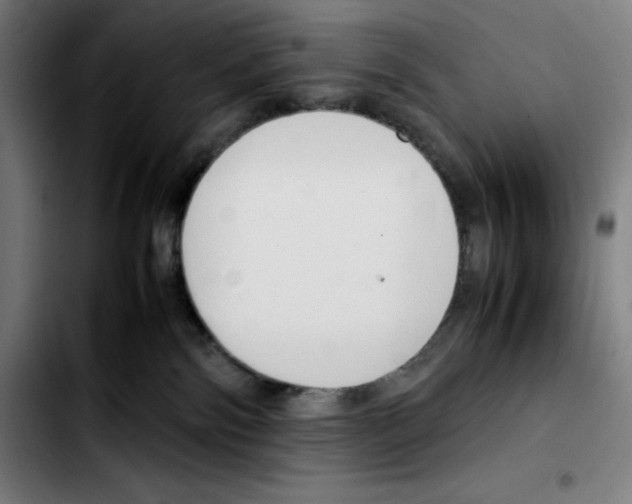 X0000103410138200810241217