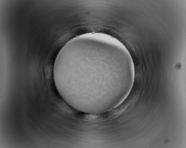 X0000103410139200810241217