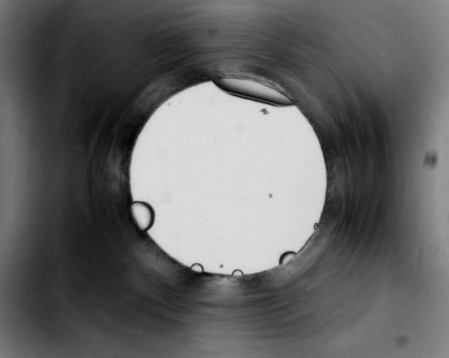 X0000103410140200810241217