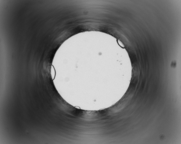 X0000103410141200810241217