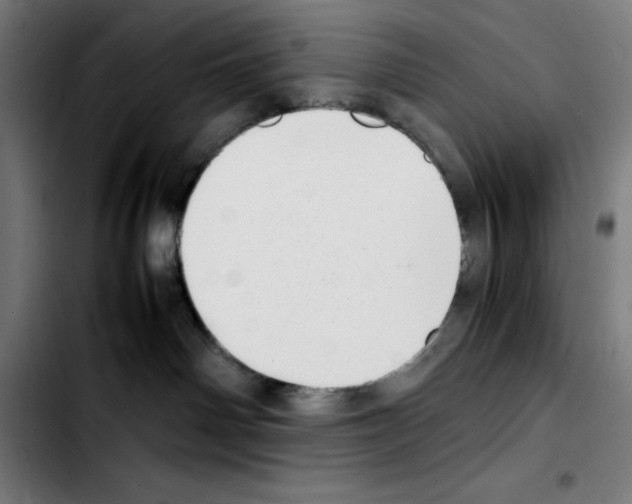 X0000103410142200810241217