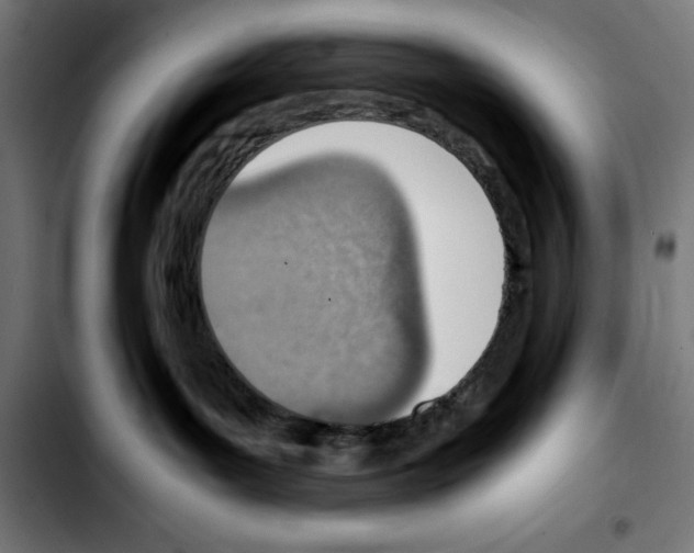 X0000103410143200810241217