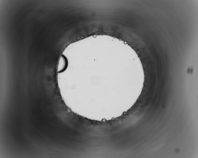 X0000103410144200810241217