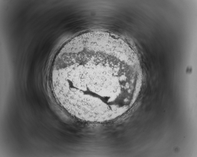 X0000103410145200810241216