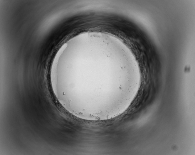 X0000103410146200810241216