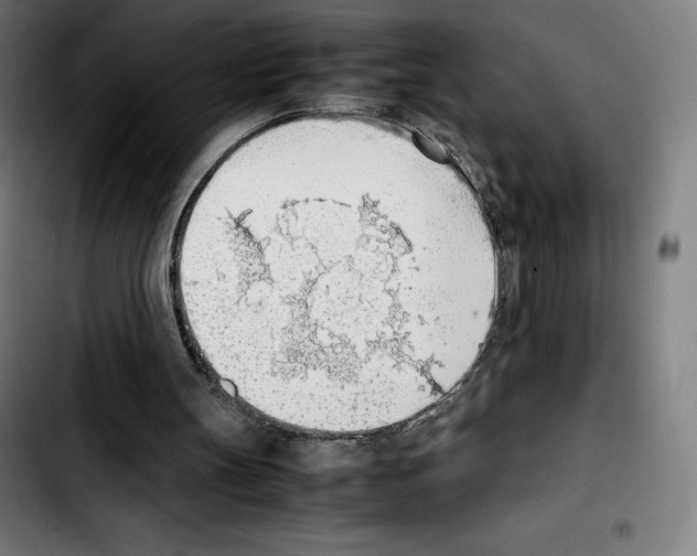 X0000103410147200810241216