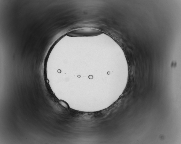 X0000103410148200810241216