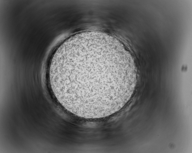 X0000103410149200810241216