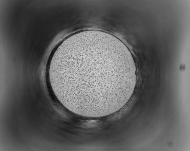 X0000103410151200810241216