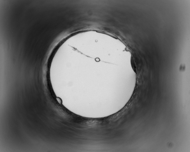 X0000103410152200810241216