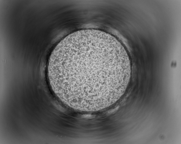 X0000103410153200810241216