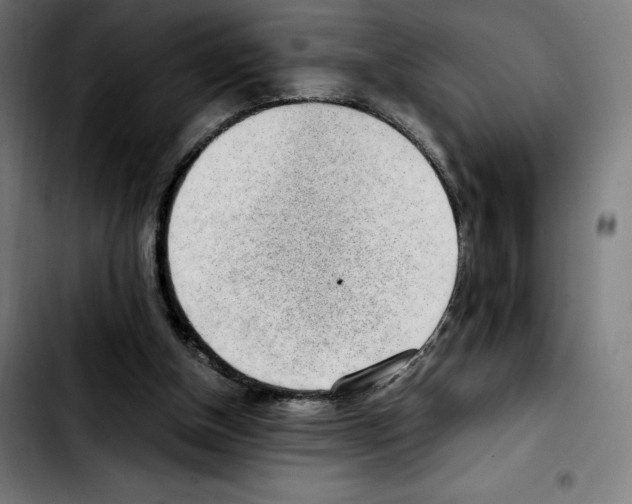 X0000103410154200810241216