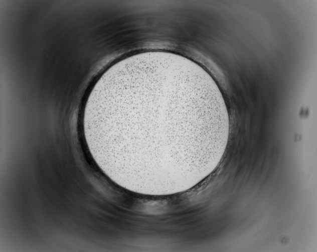 X0000103410155200810241216