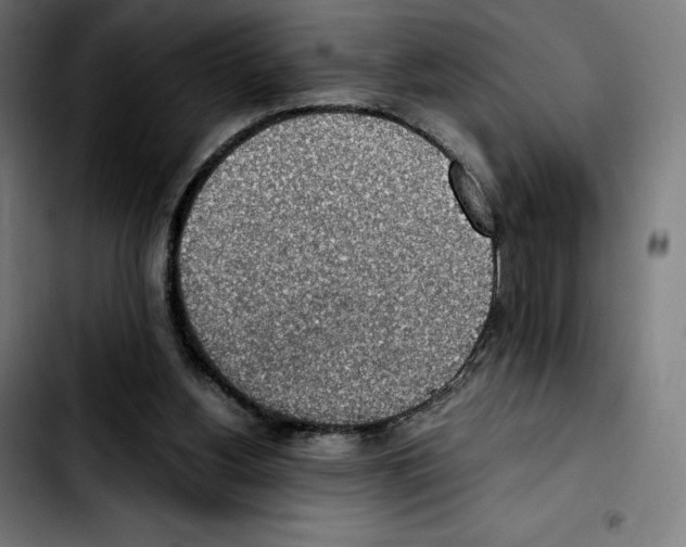 X0000103410156200810241216