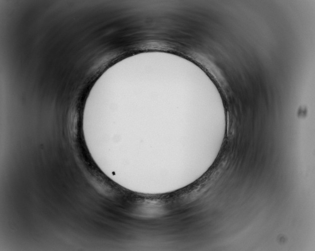 X0000103410157200810241216