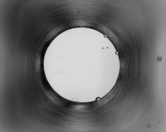 X0000103410158200810241216