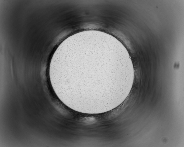 X0000103410159200810241216