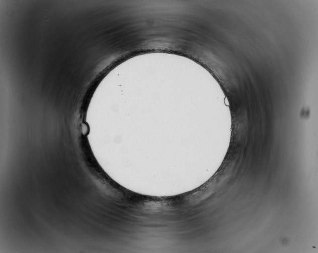 X0000103410160200810241216