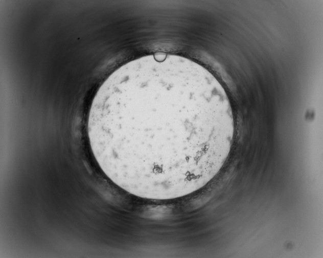 X0000103410161200810241216