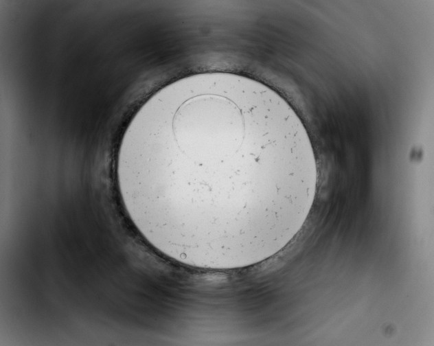 X0000103410162200810241216