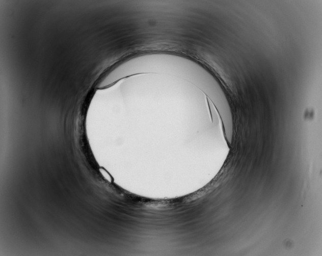 X0000103410164200810241216