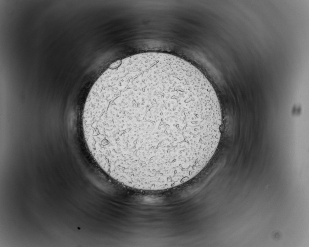 X0000103410165200810241216