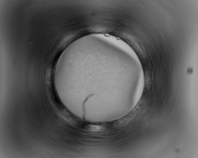 X0000103410167200810241216