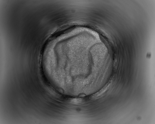 X0000103410168200810241216