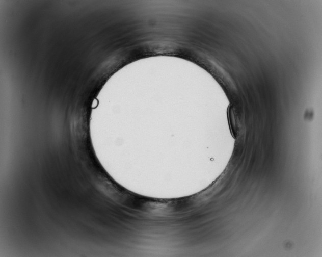 X0000103410170200810241217