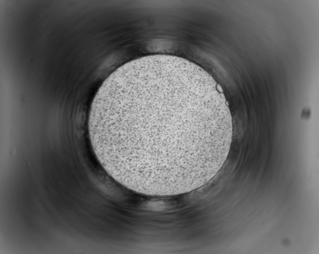 X0000103410171200810241217