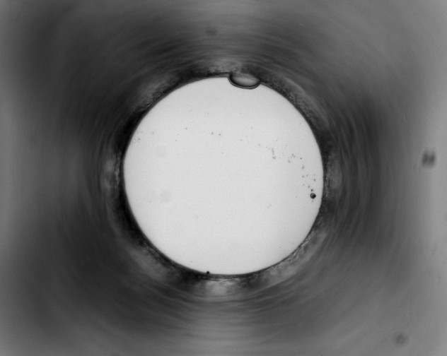 X0000103410172200810241217