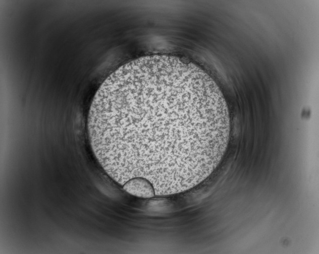 X0000103410173200810241217