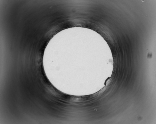 X0000103410174200810241217